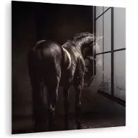 MuchoWow Glasschilderij 20x20 cm - Schilderij acrylglas - Krachtig - Paard - Donker - Foto op glas - Muurdecoratie woonkamer - Wanddecoratie slaapkamer - Schilderijen