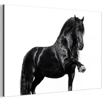 MuchoWow Aluminium schilderij 180x120 cm - Wanddecoratie metaal - Fries - Hengst - Modern - Metalen muurdecoratie woonkamer - Decoratie industrieel - Foto op dibond - Industriële accessoires slaapkamer