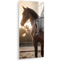 MuchoWow Glasschilderij 20x40 cm - Schilderij acrylglas - Harmonie - Ruiter - Zon - Foto op glas - Muurdecoratie woonkamer - Wanddecoratie slaapkamer - Schilderijen