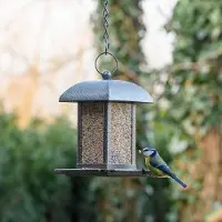 Cj Wildlife Zadensilo Salzburg vierkant dak | | | Partner van Vogelbescherming Nederland