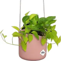 Elho Hangpot B. For Swing Roze 20,5 X 20 X 16,5 Cm