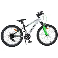Volare Boost Kinderfiets - 20 inch - Zilver Groen - 7 versnellingen