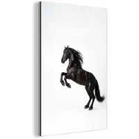 MuchoWow Aluminium schilderij 120x180 cm - Wanddecoratie metaal - Zwart - Paard - Portret - Metalen muurdecoratie woonkamer - Decoratie industrieel - Foto op dibond - Industriële accessoires slaapkamer