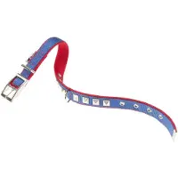 Ferplast Dual 25 Mm 45 Cm Hondenhalsband