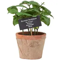 Homescapes Monstera kunstplant in pot - 60 cm