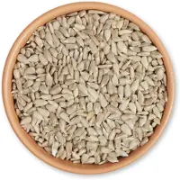Cj Wildlife Zonnebloemkernen 5 kg | | Vogelvoer | Partner van Vogelbescherming Nederland