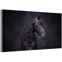 MuchoWow Aluminium schilderij 160x80 cm - Wanddecoratie metaal - Portret - Paard - Donker - Metalen muurdecoratie woonkamer - Decoratie industrieel - Foto op dibond - Industriële accessoires slaapkamer