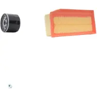 RIDEX 4055F2665 Filterset