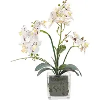 Homescapes Kunstwitte Phalaenopsis Orchidee in Glazen Pot 42 cm