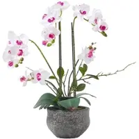 Homescapes Kunstmatige Witte Phalaenopsis Orchidee in Grijze Cement Pot 52 cm