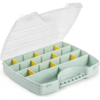 PlasticForte Opbergkoffertje/opbergdoos/sorteerbox - 13-vaks - kunststof - mintgroen - 25 x 21 x 4 cm - Opbergbox