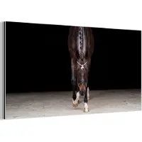 MuchoWow Aluminium schilderij 160x80 cm - Wanddecoratie metaal - Paard - Modern - Portret - Metalen muurdecoratie woonkamer - Decoratie industrieel - Foto op dibond - Industriële accessoires slaapkamer