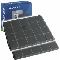Alapure 2x 291 Longlife Koolstoffilter voor 9029798791 / ECFBLL02