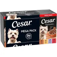 Cesar Cuisine in Saus - Mega Pack
