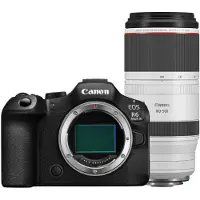 Canon EOS R6 Mark III + RF100-500mm F/4.5-7.1 L IS USM