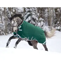 Horseware Original Turnout Heavy 400g met Beenuitsparingen - Groen - 140/190