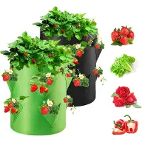 Famanu - Groeizakken voor aardbeien, 2 stuks, 40 l/10 gallon, groentezak, vliesstof, plantenzak met venster, tuingroentezak