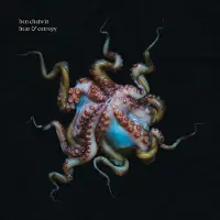 Konkurrent Ben Chatwin - Heat & Entropy (LP)