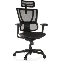 Hjh OFFICE Bureaustoel / directiestoel ERGOHUMAN SLIM ECO F GEN2 Zitting stof / rugleuning mesh zwart
