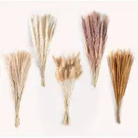 Famanu – Pampasgras, gedroogd, set van 130 stuks, natuurlijke pluizige rietbloemen, vaasdecoratie, boho stijl, bruiloft en woonkamer