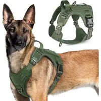 Markenlos Hondentuig: Tactisch hondentuig met Molle-systeem en handgreep - Reflecterend, verstelbaar hondentuig voor grote honden - Groen - XL