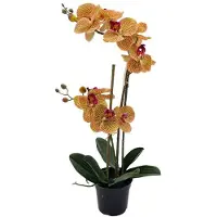 Buitengewoon Boet Phalaenopsis Orchidee in pot x2 50 cm Tiger Yellow kunstplant
