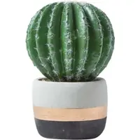 Homescapes Kunstbolcactus in een gestreepte cementpot, 19 cm hoog