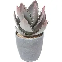 Homescapes Kleine Kunstmatige Echte Aloë Vera in Melamine Pot, 21 cm Hoog