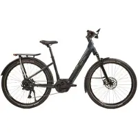 Urban jungle Barrio 3.0 Performance Elektrische Fiets
