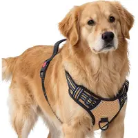 Filo Anti Trek Hondentuig Maat XL Beige - Y Tuig Hond Verstelbaar - Hondenharnas - Honden Tuigje - Leiband Hond - Hondentuigje - Extra Large