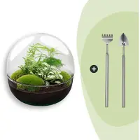 Urbanjngl Terrarium - Dome XL - ↑ 30 cm - Ecosysteem plant - Kamerplanten - DIY planten terrarium - Mini ecosysteem + Hark + Schep
