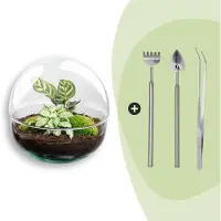 Urbanjngl Terrarium - Dome - ↑ 20 cm - Ecosysteem plant - Kamerplanten - DIY planten terrarium - Mini ecosysteem + Hark + Schep + Pincet