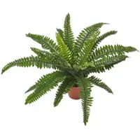 Homescapes kunstplant Nephrolepis Exaltata, kunstzwaardvaren in pot, 45 cm hoog