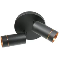 Steinhauer Zwarte spot Downlume 4858ZW, 2-lichts GU10 plafondspot