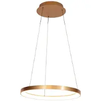 Steinhauer Hanglamp Ringlede goud