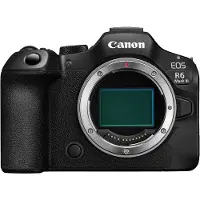 Canon EOS R6 Mark III + RF 35mm f/1.8 Macro IS STM
