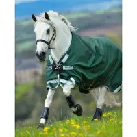 Horseware Original Turnout Lite 0g met beenuitsparingen - Green Silver - 125/175