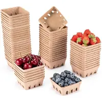 Wella 60-Pack Pulpvezelbessenmand, voor Aardbeien, Bosbessen, Frambozen, Druiven en Kersen, Groente- en Fruitmandcontainers