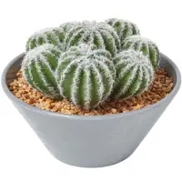 Homescapes Kunstcactus arrangement in grijze melamine pot, 17 cm hoog