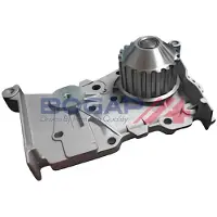 BOGAP R4234126 Waterpomp