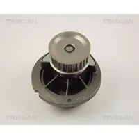 TRISCAN 8600 24014 Waterpomp