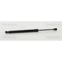 TRISCAN 8710 11240 Gasveer achterklep