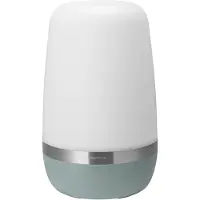 Blomus Buitenlamp Spirit Pine Gray XL