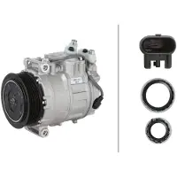Hella 8FK 366 203-971 Aircopomp