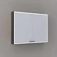 Thebalux Exclusief Sunny Solana opbouwspiegelkast 100x70cm 2 deurs 120W eiken donker