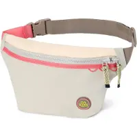 Dakine Heuptas Renovation Hip Pack Salmon Bay