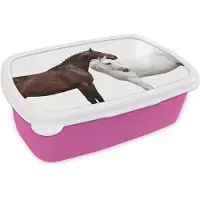 MuchoWow Broodtrommel Roze - Lunchbox Paard - Modern - Balans - Brooddoos 18x12x6 cm - Brood lunch box - Broodtrommels voor kinderen en volwassenen