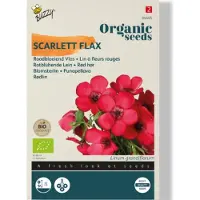 Buzzy seeds - Zaden roodbloeiende vlas 1 gram