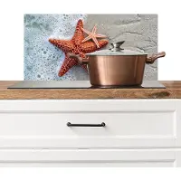 KitchenYeah Spatscherm keuken 60x30 cm - Kookplaat achterwand Zeester - Strand - Zee - Muurbeschermer - Spatwand fornuis - Hoogwaardig aluminium
