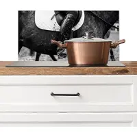 KitchenYeah Spatscherm keuken 70x30 cm - Kookplaat achterwand Paard - Sport - Zwart - Wit - Muurbeschermer - Spatwand fornuis - Hoogwaardig aluminium